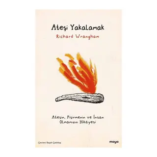 Ateşi Yakalamak