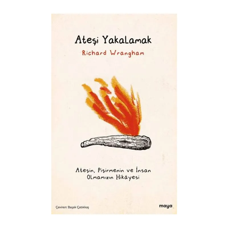 Ateşi Yakalamak