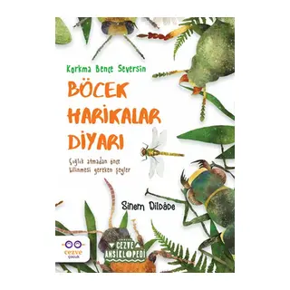 Böcek Harikalar Diyarı