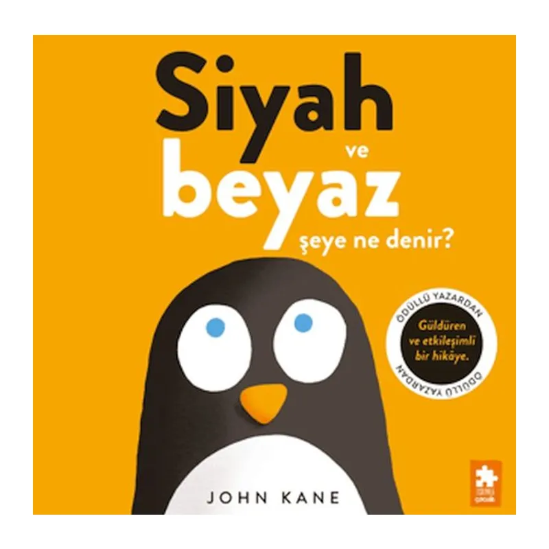 Siyah ve Beyaz Şeye Ne Denir?