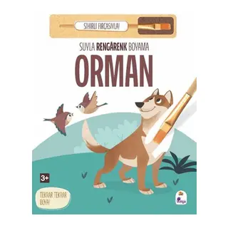 Suyla Rengarenk Boyama - Orman (Sihirli Fırçasıyla)