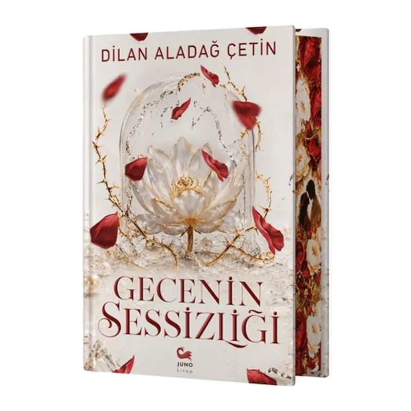 Gecenin Sessizliği