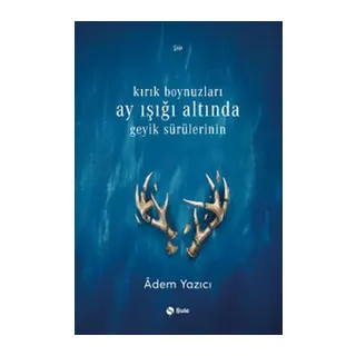 Kırık Boynuzları Ay Işığı Altında Geyik Sürülerinin