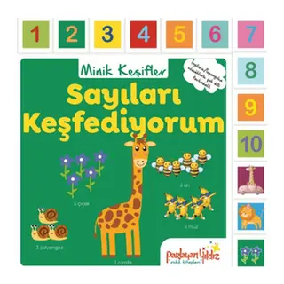 Minik Keşifler Sayıları Keşfediyorum