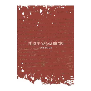 Felsefe Yaşam Bilgisi