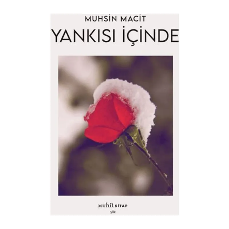 Yankısı İçinde