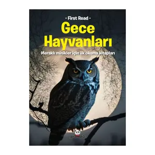 Gece Hayvanları