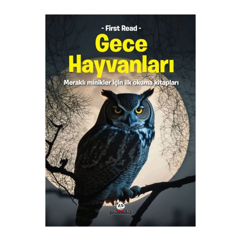 Gece Hayvanları