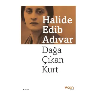 Dağa Çıkan Kurt