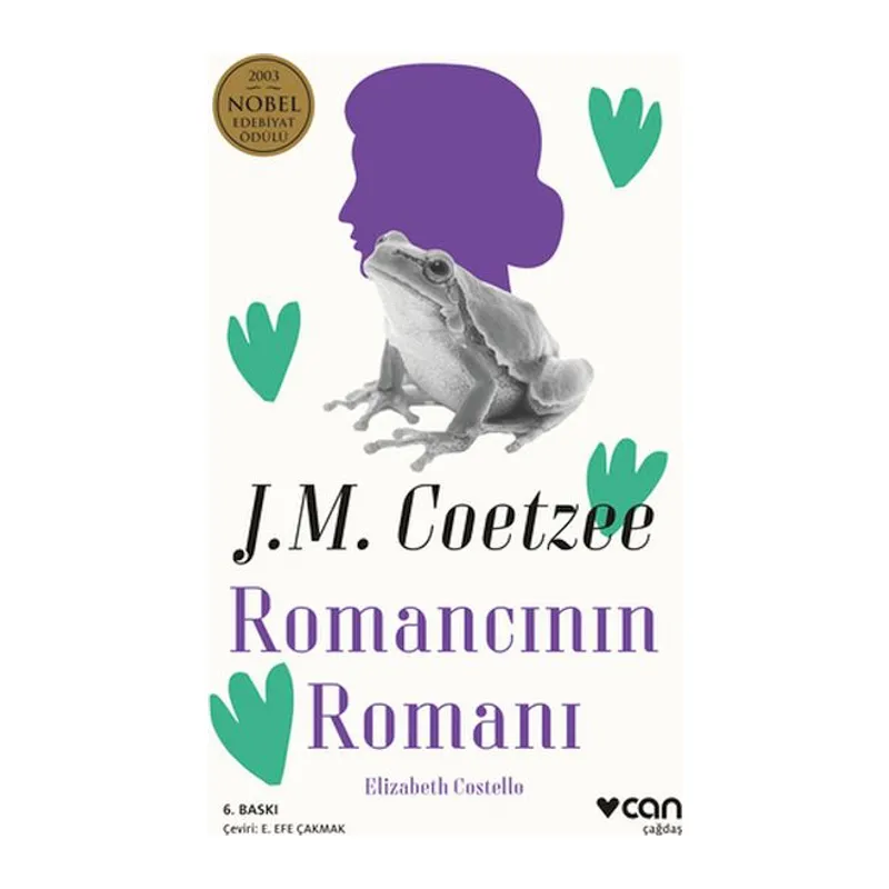 Romancının Romanı