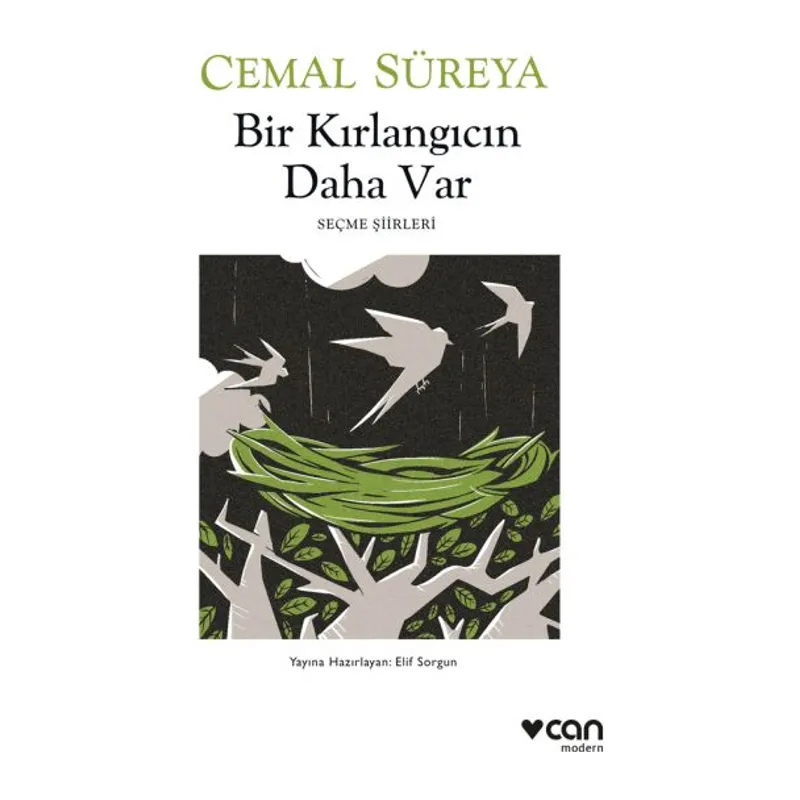 Bir Kırlangıcın Daha Var