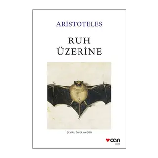 Ruh Üzerine