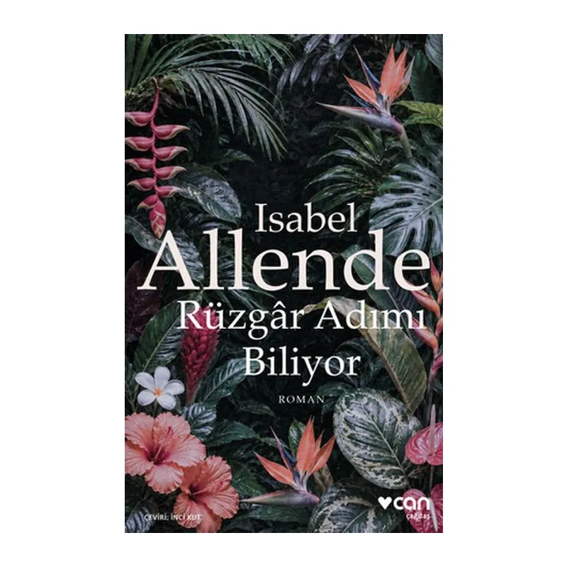 Rüzgâr Adımı Biliyor