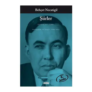 Şiirler - Behçet Necatigil