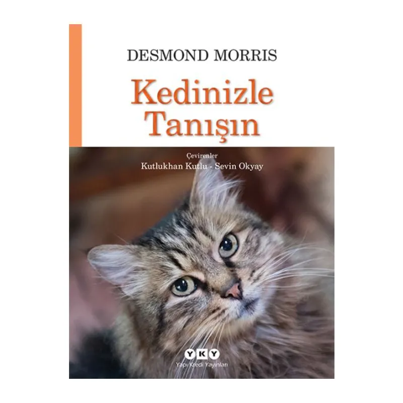 Kedinizle Tanışın