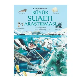 Büyük Sualtı Araştırması