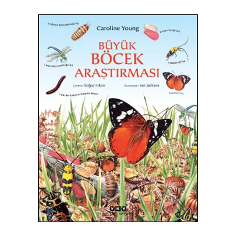Büyük Böcek Araştırması