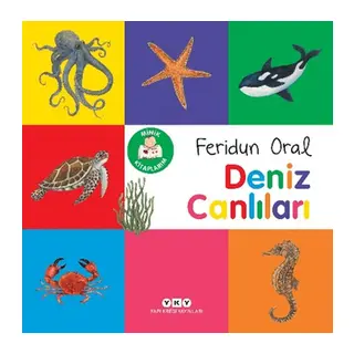 Minik Kitaplarım – Deniz Canlıları