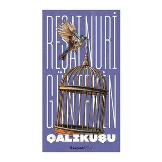Çalıkuşu (Yeni Kapak)