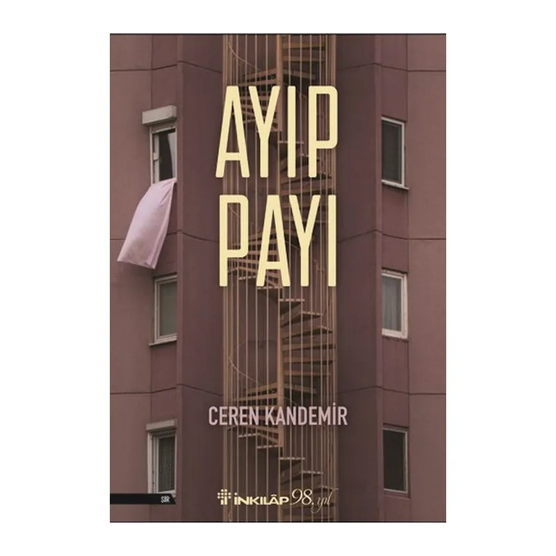 Ayıp Payı