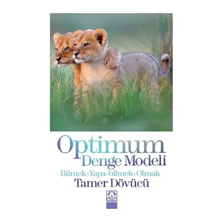 Optimum Denge Modeli