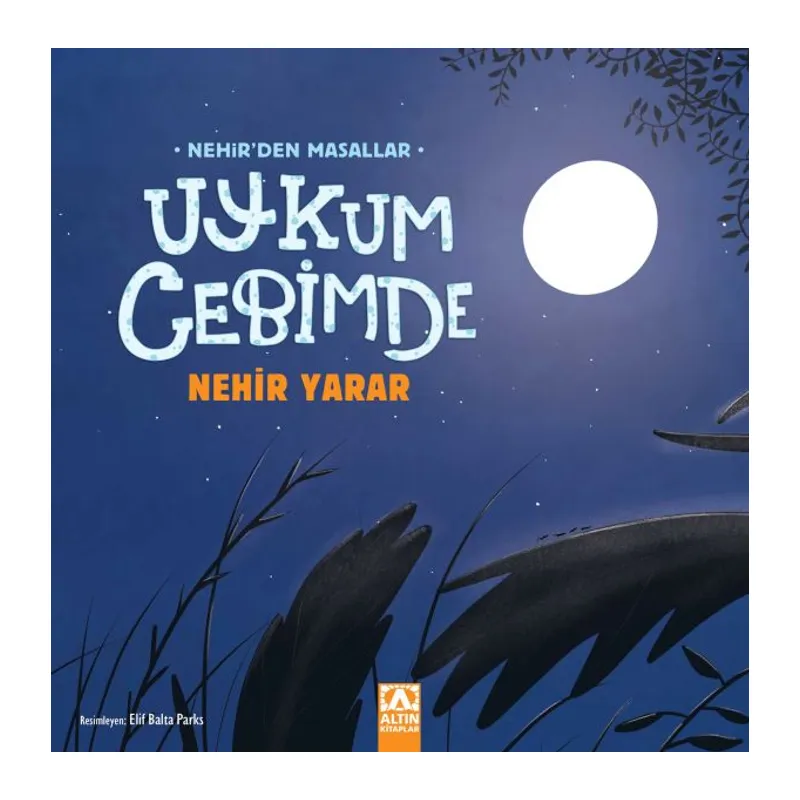 Uykum Cebimde
