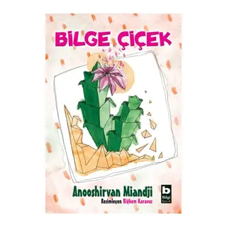 Bilge Çiçek