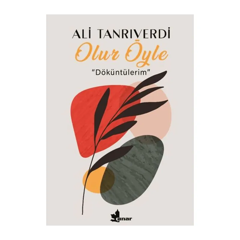Olur Öyle