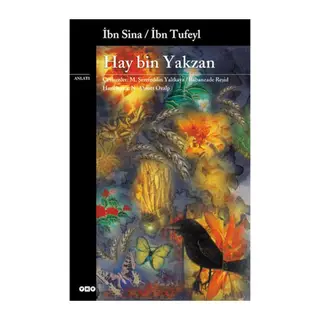 Hay Bin Yakzan