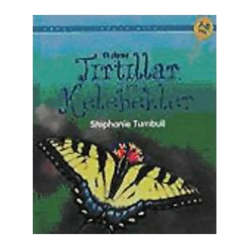 İlk Okuma - Tırtıllar ve Kelebekler