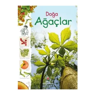 Doğa - Ağaçlar
