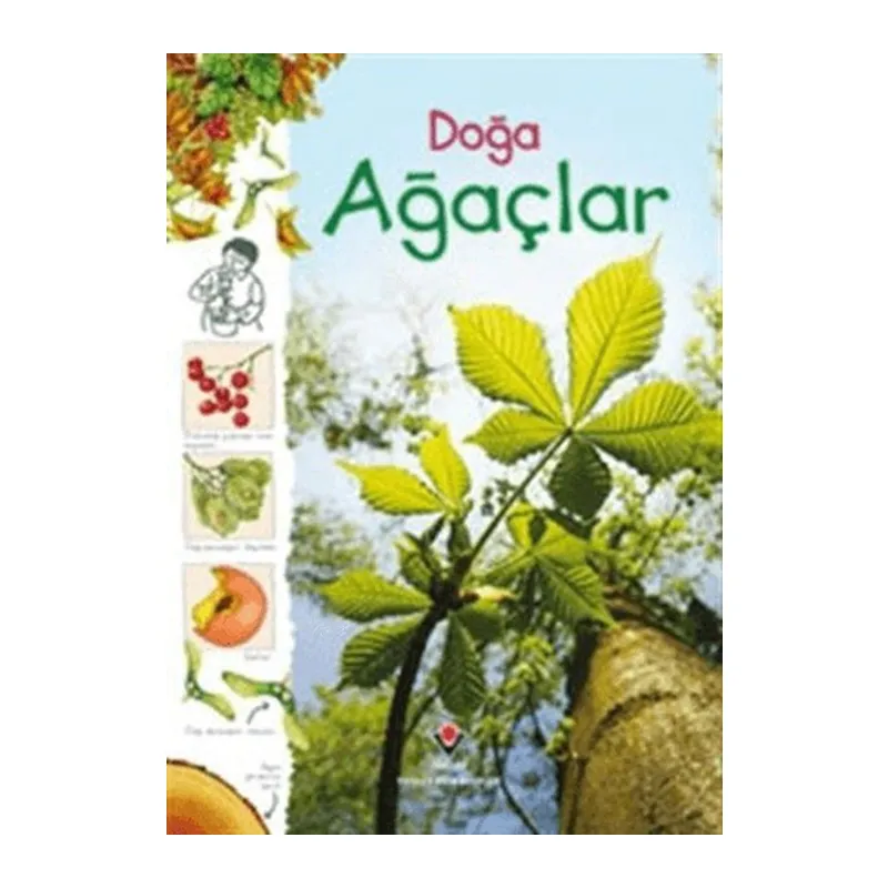 Doğa - Ağaçlar