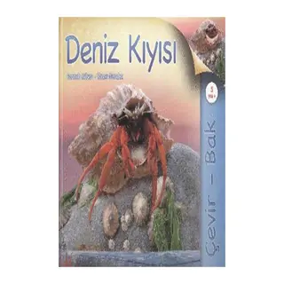 Çevir Bak Deniz Kıyısı