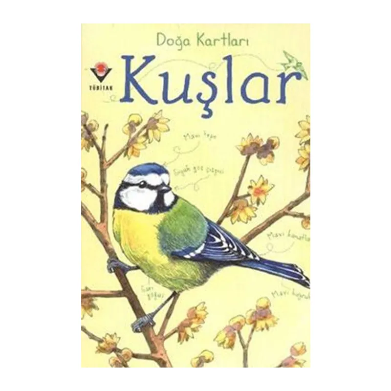 Doğa Kartları - Kuşlar