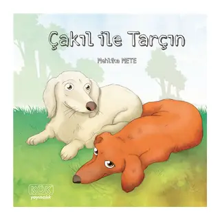 Çakıl ile Tarçın