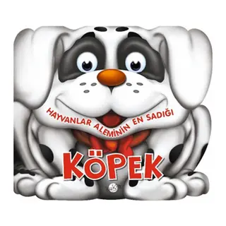 Hayvanlar Aleminin En Sadığı Köpek