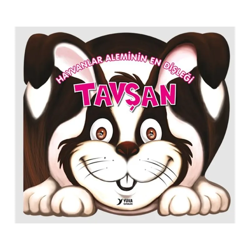 Hayvanlar Aleminin En Dişleği Tavşan