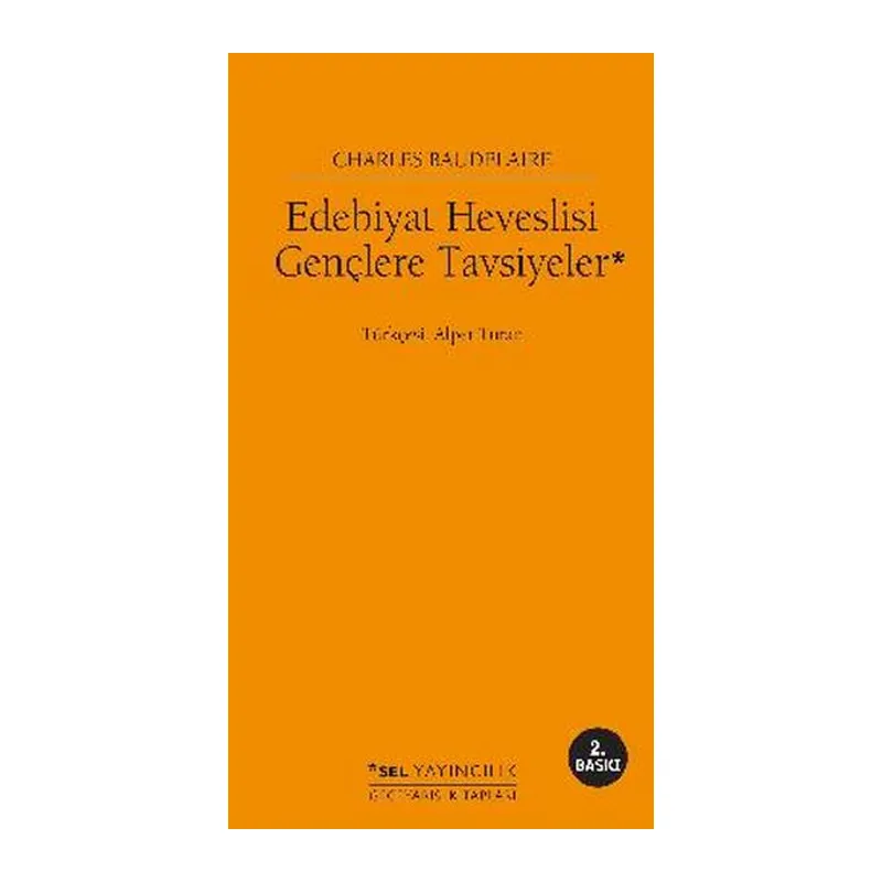 Edebiyat Heveslisi Gençlere Tavsiyeler