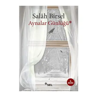 Aynalar Günlüğü