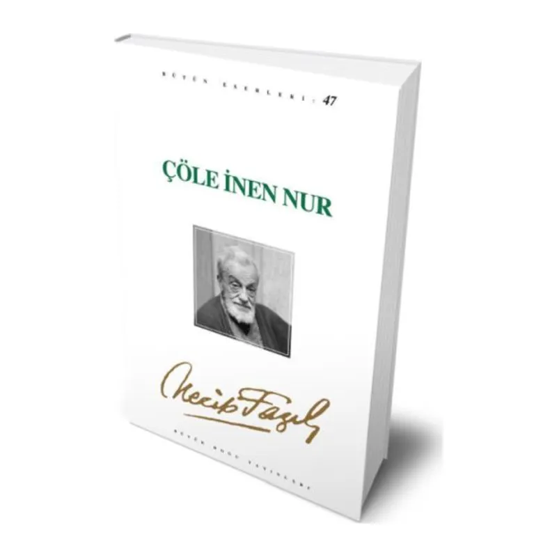 Çöle İnen Nur