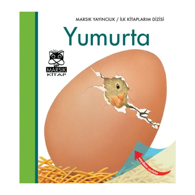 İlk Kitaplarım Dizisi - Yumurta