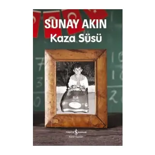 Kaza Süsü
