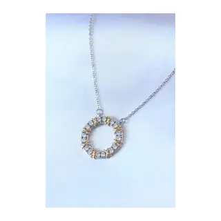 316L Çelik Gümüş Renk Zirkon Taşlı Gold Detay Xoxo Kadın Kolye