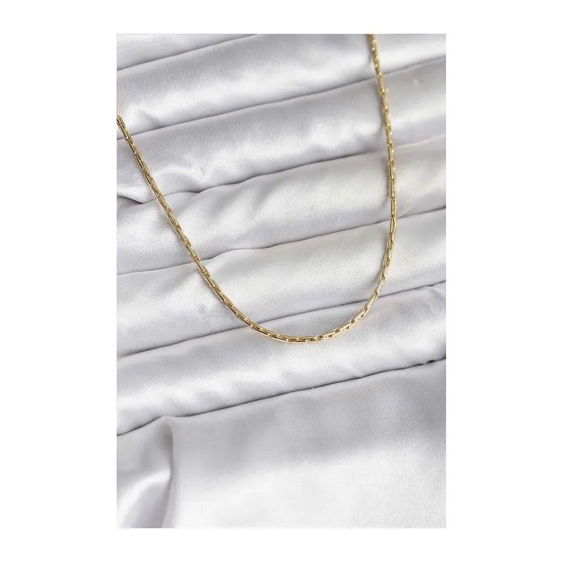 14K Gold Renk Kaplama İnce Zincir Model CM Kadın Kolye