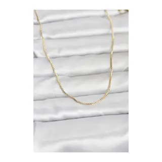 CM 14K Gold Renk İnce Kare Zincirli Model 60 cm Kadın Kolye