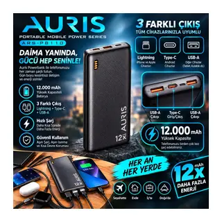 Auris ARS-PB110 12.000 mAh Powerbank