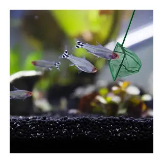 Akvaryum Balık Kepçesi 10 CM