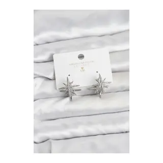 Gümüş Renk Pirinç Çift Taraflı Kutup Yıldızı Kadın Küpe