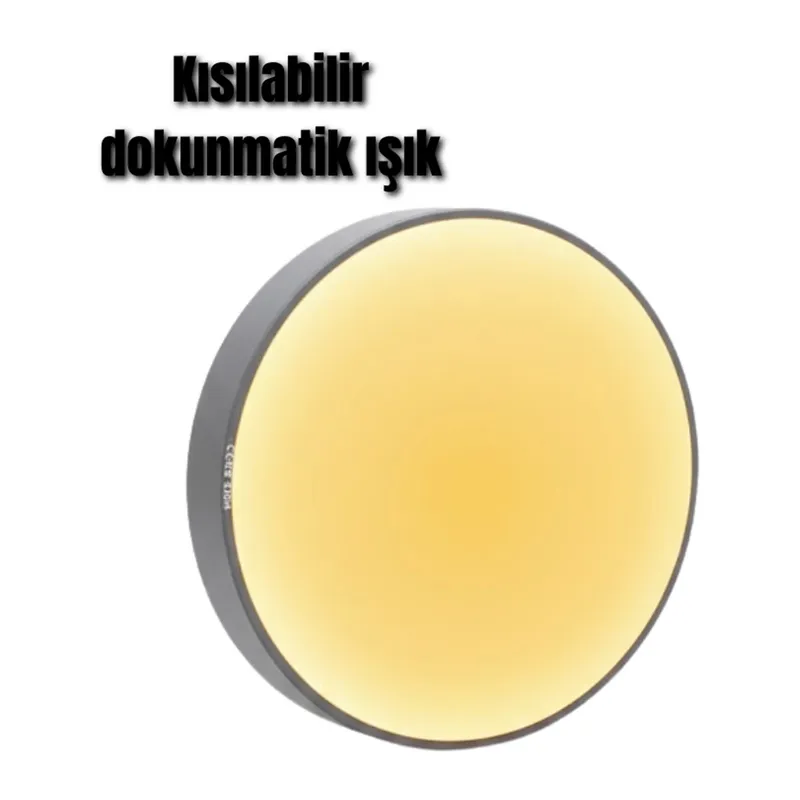 V010 LED