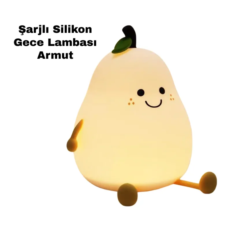 L26 IŞIK
